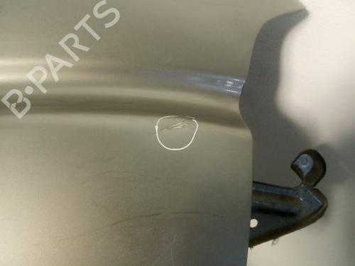 Right front fenders NISSAN PATHFINDER III (R51)  | BP19570241C42 