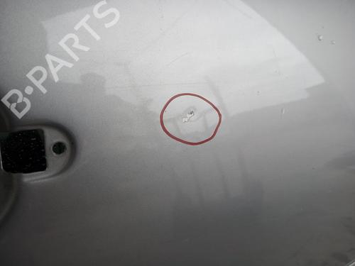 Right front door SEAT IBIZA III (6L1)  | BP19563484C3