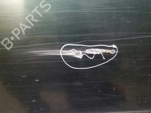 Right rear door NISSAN TERRANO II (R20) 2.7 TDi 4WD | BP19547682C5 