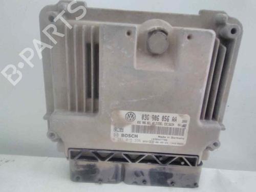 Used Gearbox control unit SEAT LEON (1P1) [2005-2013]  19564966