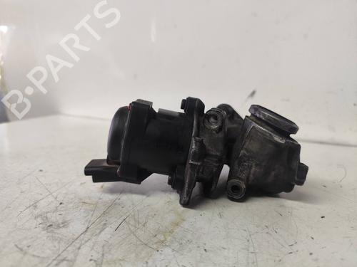 Egr FORD FOCUS C-MAX (DM2)  | BP25007052M69 