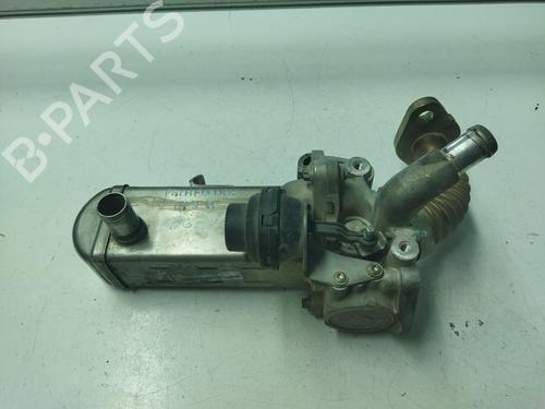 Used Egr NISSAN PATHFINDER III (R51) [2005-2025]  19661103