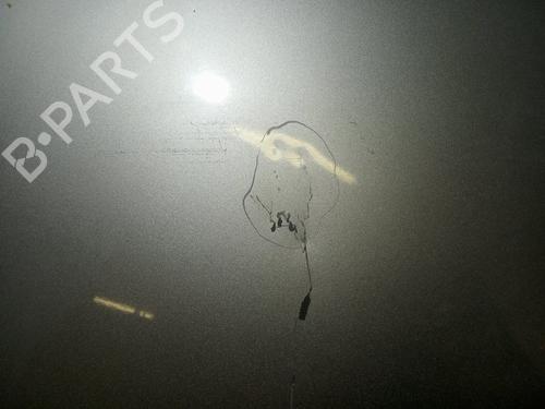Hood NISSAN X-TRAIL I (T30)  | BP19571285C1 