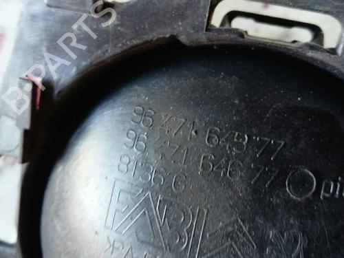 Rear left interior door handle CITROËN C3 I (FC_, FN_) 1.4 i Bivalent | BP19660090I15 