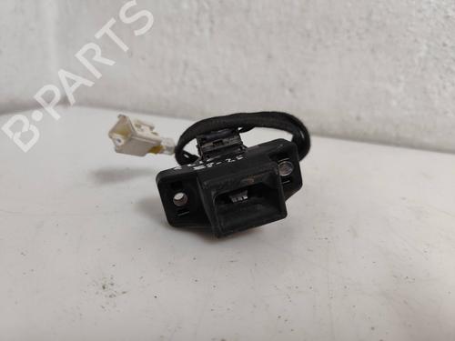 Heckklappengriff für RENAULT CLIO II (BB_, CB_) [1998-2016]  29548802