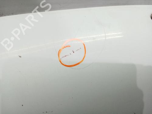 Hood FORD TRANSIT CONNECT (P65_, P70_, P80_) 1.8 TDCi | BP30179090C1