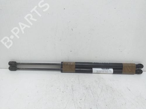 Used Tailgate lift support RENAULT SCÉNIC II (JM0/1_) [2003-2010]  16558447