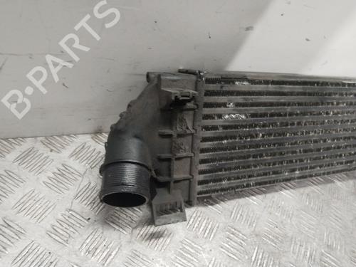 Intercooler FORD S-MAX (WA6) 2.0 TDCi | BP31792990M30