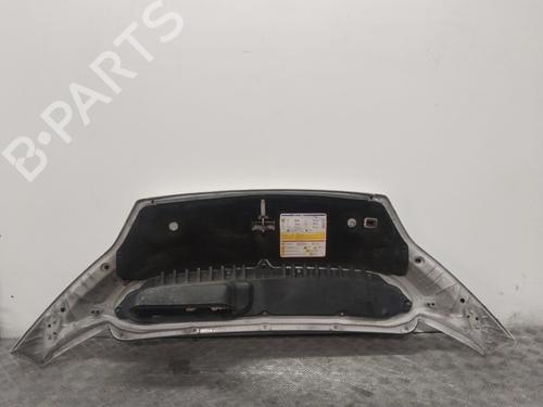Hood FIAT DUCATO Bus (250_) 130 Multijet 2,3 D | BP29118813C1 