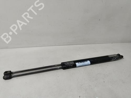 tailgate-lift-support-hyundai-santa-fe-i-sm-2000-2001-2002-2003-2004-2005-2006-30600842 main image