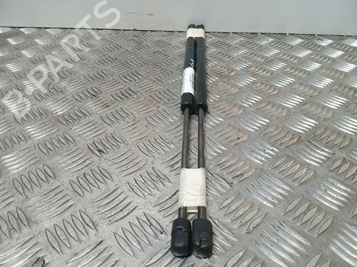 Used Tailgate lift support RENAULT SCÉNIC II (JM0/1_) [2003-2010]  14067104