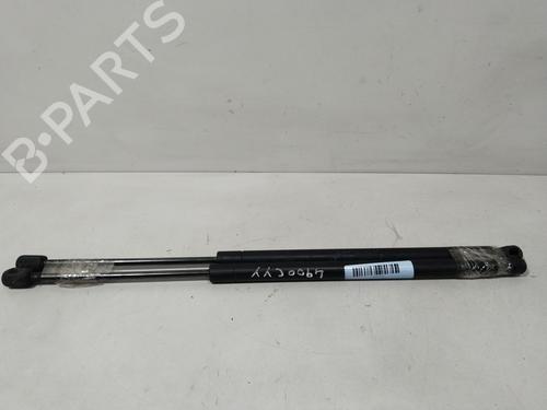 Used Tailgate lift support RENAULT SCÉNIC II (JM0/1_) 1.9 dCi (JM0G, JM12, JM1G, JM2C) (120 hp) 29734090