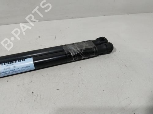 Tailgate lift support RENAULT GRAND SCÉNIC II (JM0/1_)  | BP29641054C138 