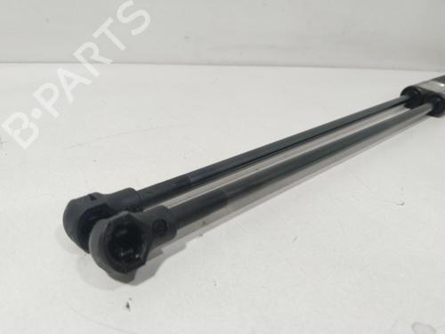 Tailgate lift support CITROËN XSARA PICASSO (N68) 1.6 16V | BP29852471C138