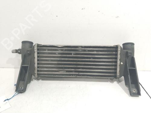 Used Intercooler Intercooler FORD TRANSIT CONNECT (P65_, P70_, P80_) [2002-2026] 17433967 17433967