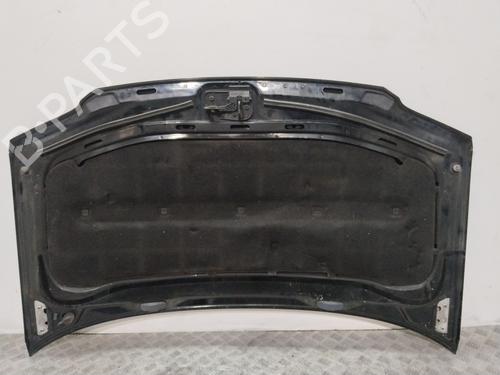 Hood VW TOURAN (1T1, 1T2) 1.9 TDI | BP29374313C1 