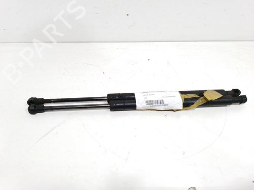 Used Tailgate lift support NISSAN MURANO I (Z50) [2002-2009]  14067126
