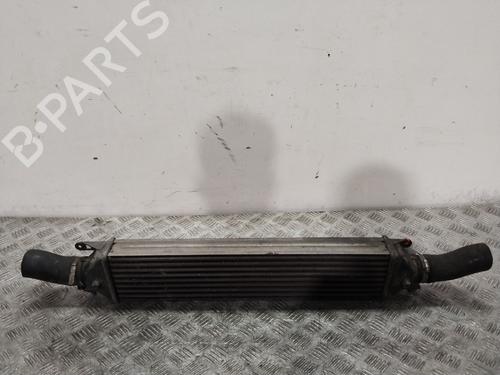 Used Intercooler FIAT DOBLO Bus (263_) 1.3 D Multijet (263AXC1A) (90 hp) 28511549