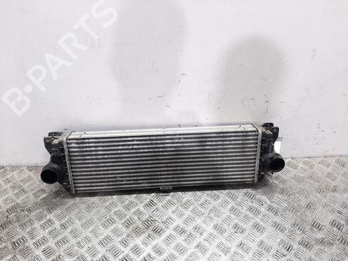 Intercooler MERCEDES-BENZ SPRINTER 2-t Van (B901, B902) 213 CDI (901.661, 901.662, 902.661, 902.662) | BP18160349M30 