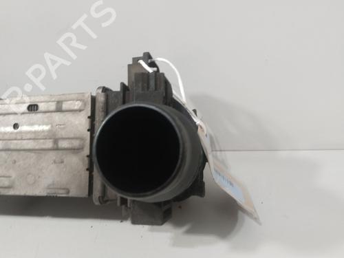 Intercooler RENAULT SCÉNIC III (JZ0/1_) 1.4 16V (JZ0F, JZ1V) | BP29402676M30