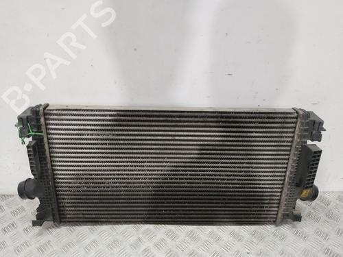 Used Intercooler Intercooler CHEVROLET ORLANDO (J309) [2010-2026] 34055979 34055979