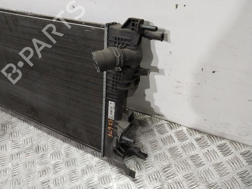 Water radiator RENAULT MEGANE III Hatchback (BZ0/1_, B3_)  | BP29812066M31 