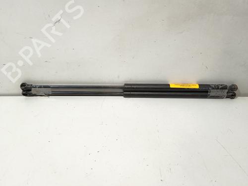 tailgate-lift-support-citroen-c5-ii-rc_-2004-2005-2006-2007-2008-36667758 main image