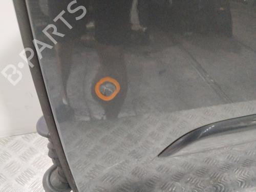 Left front door CITROËN C4 Picasso I MPV (UD_) 1.6 HDi | BP29063399C2 