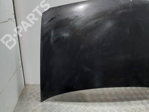 Hood RENAULT MEGANE II (BM0/1_, CM0/1_)  | BP6540292C1 