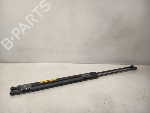 tailgate-lift-support-renault-grand-scenic-iii-jz01_-2009-2010-2011-2012-2013-2014-2015-2016-32316528 main image