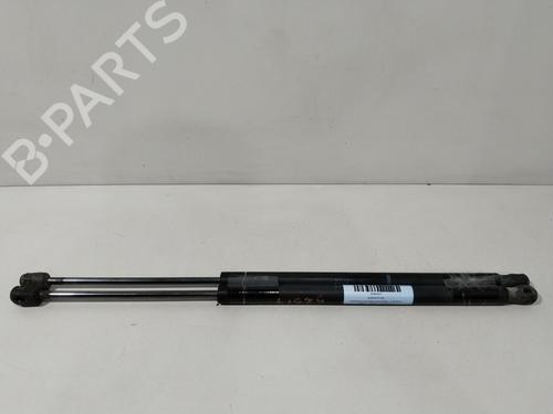 Used Tailgate lift support RENAULT SCÉNIC II (JM0/1_) 2.0 (JM05, JM0U, JM1N, JM1U, JM2V) (135 hp) 28794898