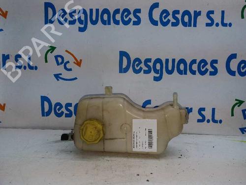Ekpansionstank Ekpansionstank FORD PUMA (EC_) 1.7 16V (125 hp) 5200678 5200678