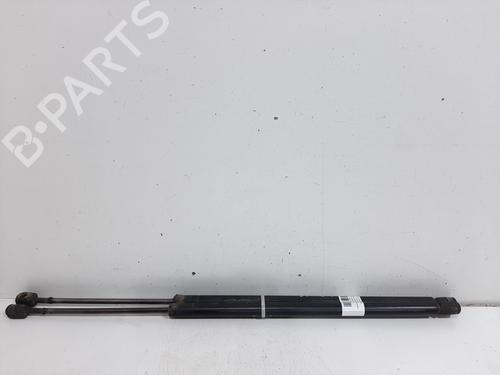 Tailgate lift support FORD FIESTA V (JH_, JD_)  | BP17123130C138 
