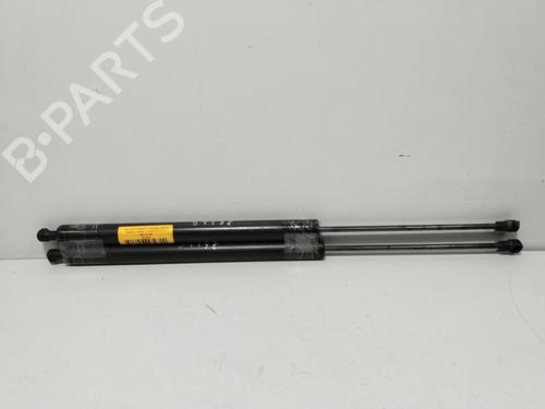 tailgate-lift-support-peugeot-partner-box-bodympv-2008-39200141 main image