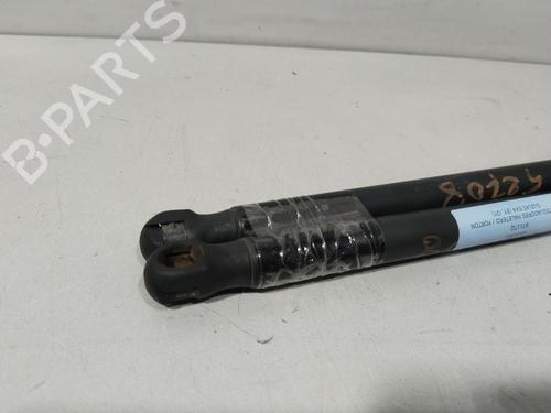 Tailgate lift support SUZUKI SX4 (EY, GY) 1.6 VVT (RW416, YA21S) | BP29831418C138