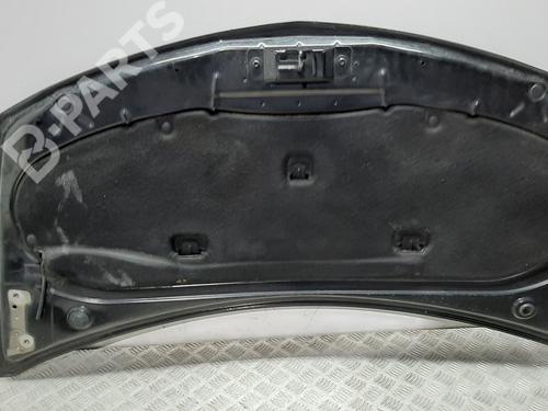 Hood RENAULT CLIO III (BR0/1, CR0/1)  | BP8610069C1 