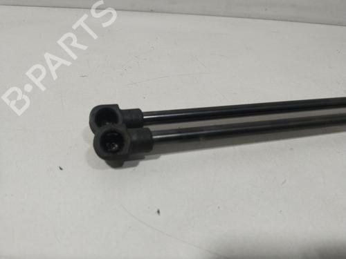 Tailgate lift support SEAT IBIZA IV (6J5, 6P1) 1.4 | BP29434016C138 