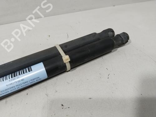 Tailgate lift support VW GOLF VII Variant (BA5, BV5) 1.6 TDI | BP29639462C138 