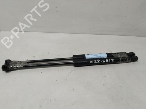Pansergassdemper RENAULT KANGOO Express (FW0/1_) 1.5 dCi 75 (FW07, FW10, FW04) (75 hp) 29734093