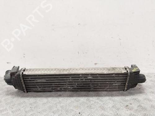 Intercooler FORD FOCUS II (DA_, HCP, DP)  | BP17615752M30 