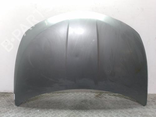 Motorhaube NISSAN MURANO I (Z50) [2002-2009]  15498619