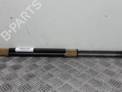 Used Tailgate lift support FORD FIESTA V (JH_, JD_) [2001-2014]  14067388