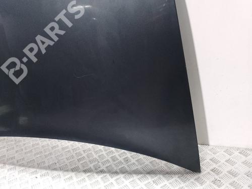 Hood RENAULT VEL SATIS (BJ0_)  | BP9244111C1 