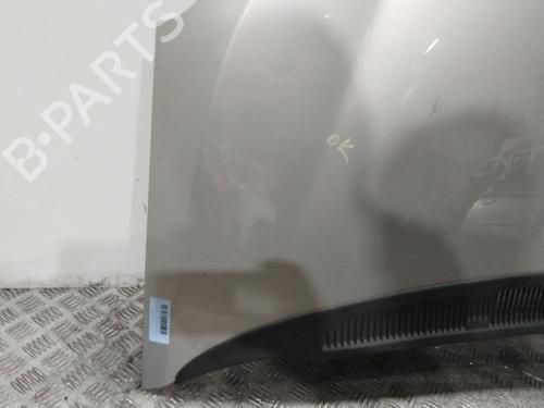 Panser FORD C-MAX (DM2) 1.6 TDCi | BP29940604C1 