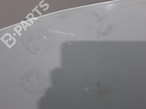 Hood RENAULT CLIO III (BR0/1, CR0/1)  | BP8116867C1 