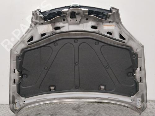 Hood OPEL ANTARA A (L07) 2.0 CDTI 4x4 | BP29807990C1 