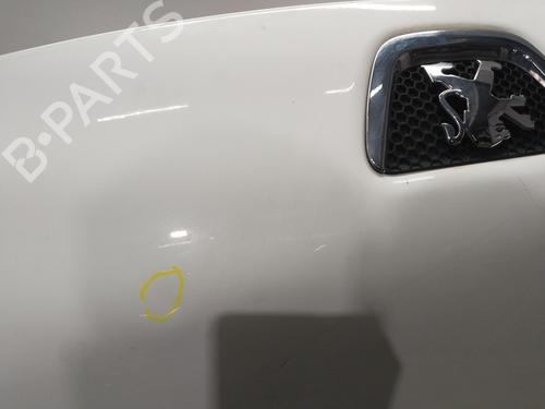 Hood PEUGEOT BIPPER (AA_) 1.3 HDi 75 | BP25380763C1