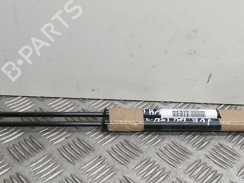 Used Tailgate lift support OPEL ASTRA H (A04) 1.7 CDTI (L48) (100 hp) 14067442
