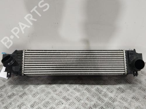 Used Intercooler BMW X1 (F48) xDrive 20 d (190 hp) 26910615