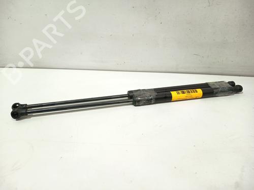 tailgate-lift-support-citroen-c3-ii-sc_-2009-33004293 main image